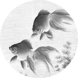 KEK Amsterdam Goldfish behangcirkel zwart wit
