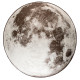 Zuiver Moon Outdoor vloerkleed 280 rond stone grey